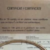 Cartier-Juste-un-Clou-bracelet-classic-model-18K-4.webp Bracelet Cartier Juste un Clou, modèle classique en or 18 carats, taille 20 ; avec certificat