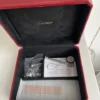 Montre Santos de Cartier taille moyenne - Wssa0029