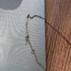 WhatsApp-Image-2025-11-11-at-3.51.37-PM.jpeg collier pendatif van cleef & Arpels sweet Alhambra en or rose 18 carats et cornaline