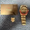 TUDOR Black Bay GMT